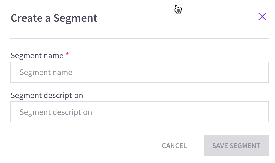 Segment Details 