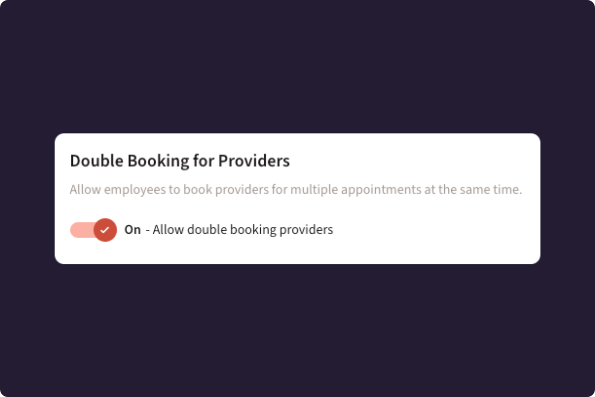 Provider Double Bookings.png