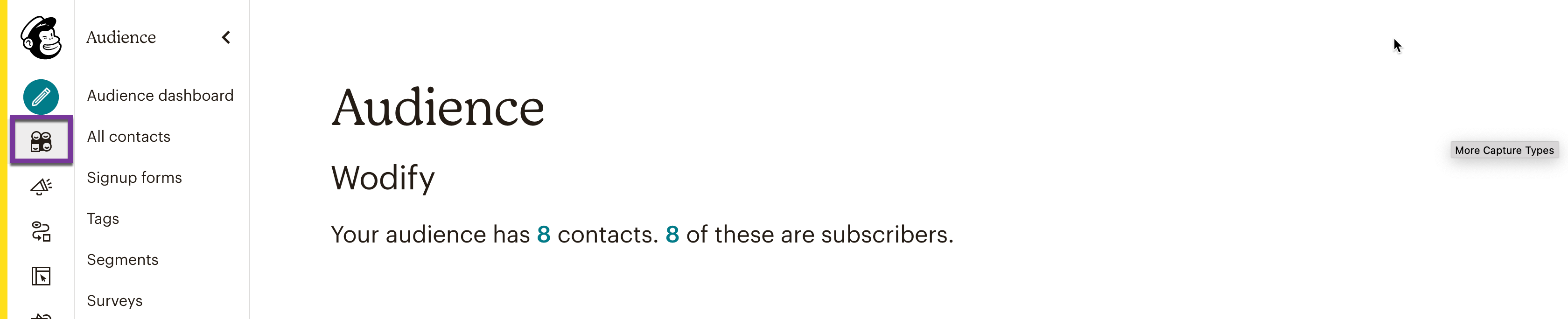 MailChimp_3.png