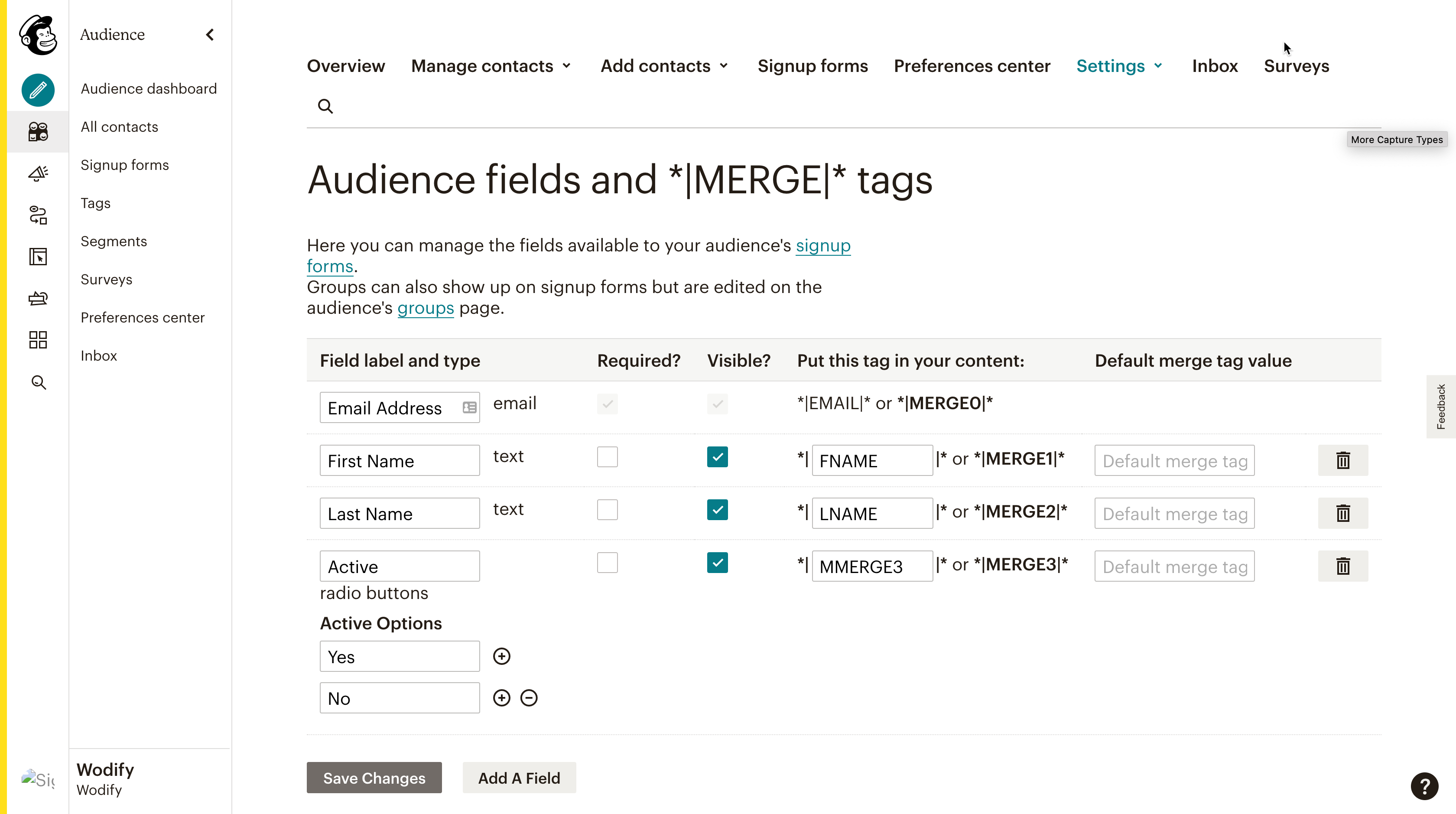 MailChimp_6.png